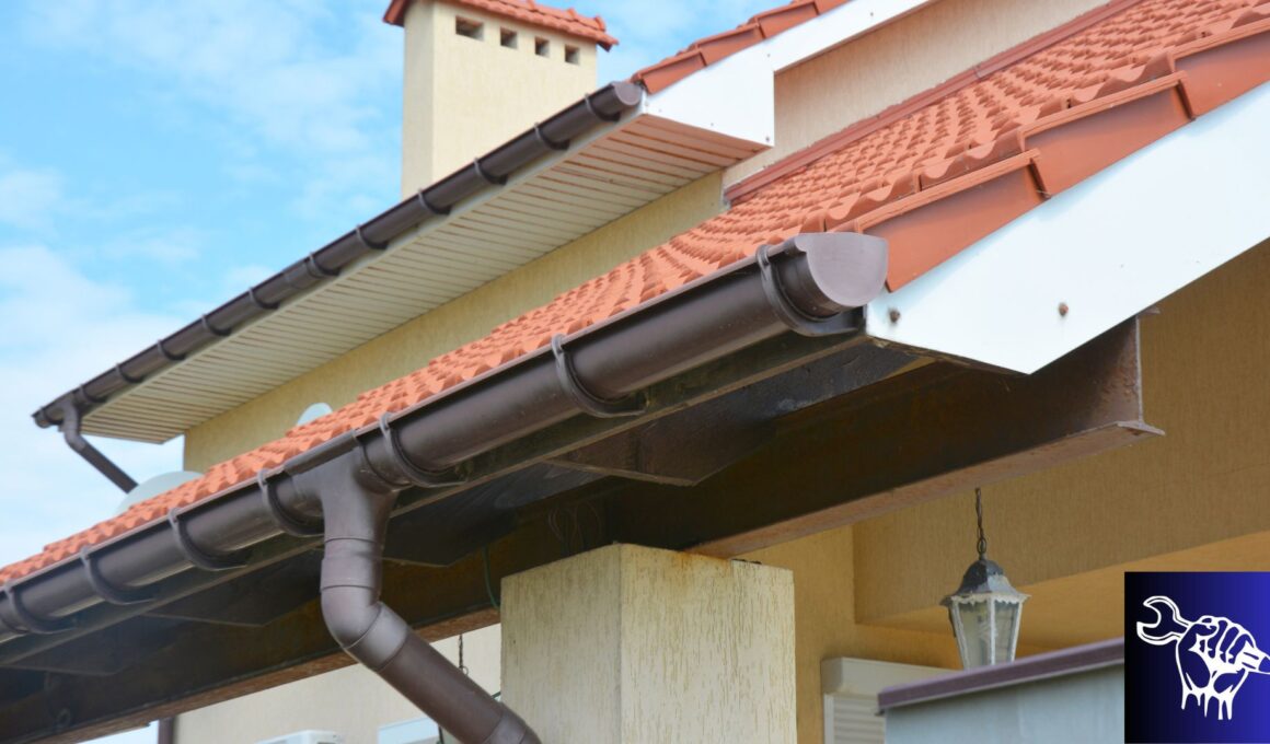 What do you need to know about gutter guards?